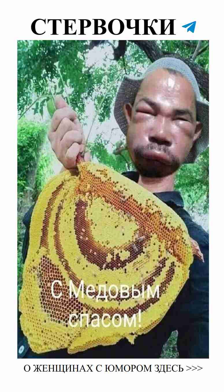 Лучшие мемы о любви для девушек и легкие шутки