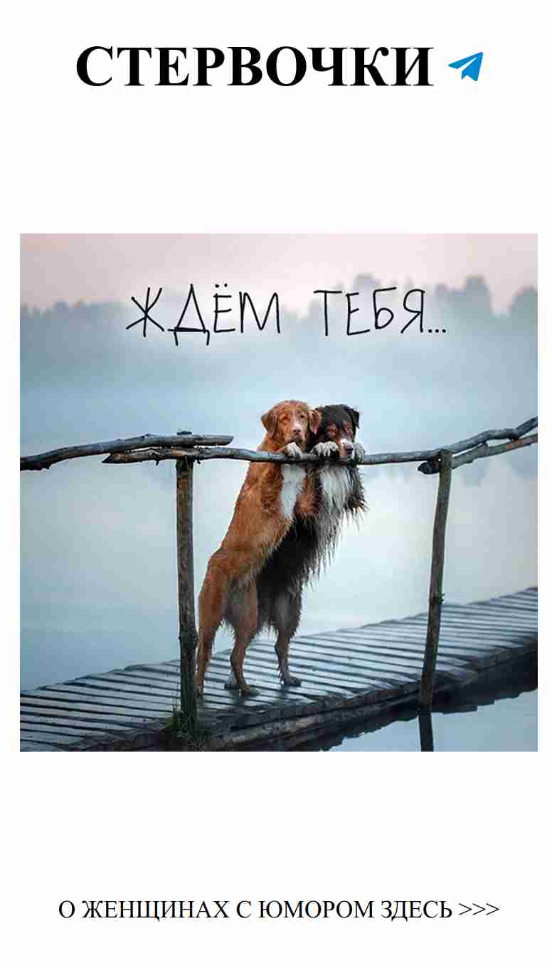 Лучшие картинки о любви, которые поднимут настроение