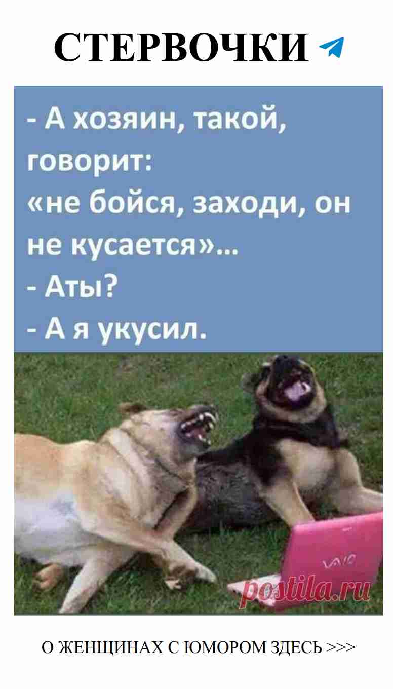 Смешные анекдоты о любви для женщин: смех до слез