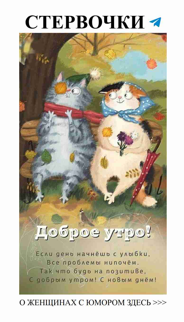 Любовь в картинках: уморительные открытки для женщин