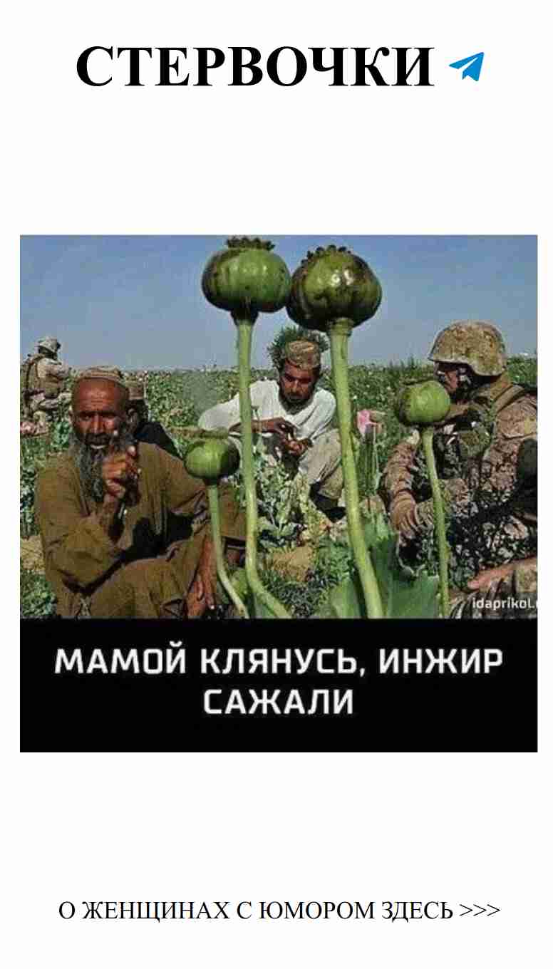 Смех и любовь: женский юмор в Одноклассниках на любой вкус