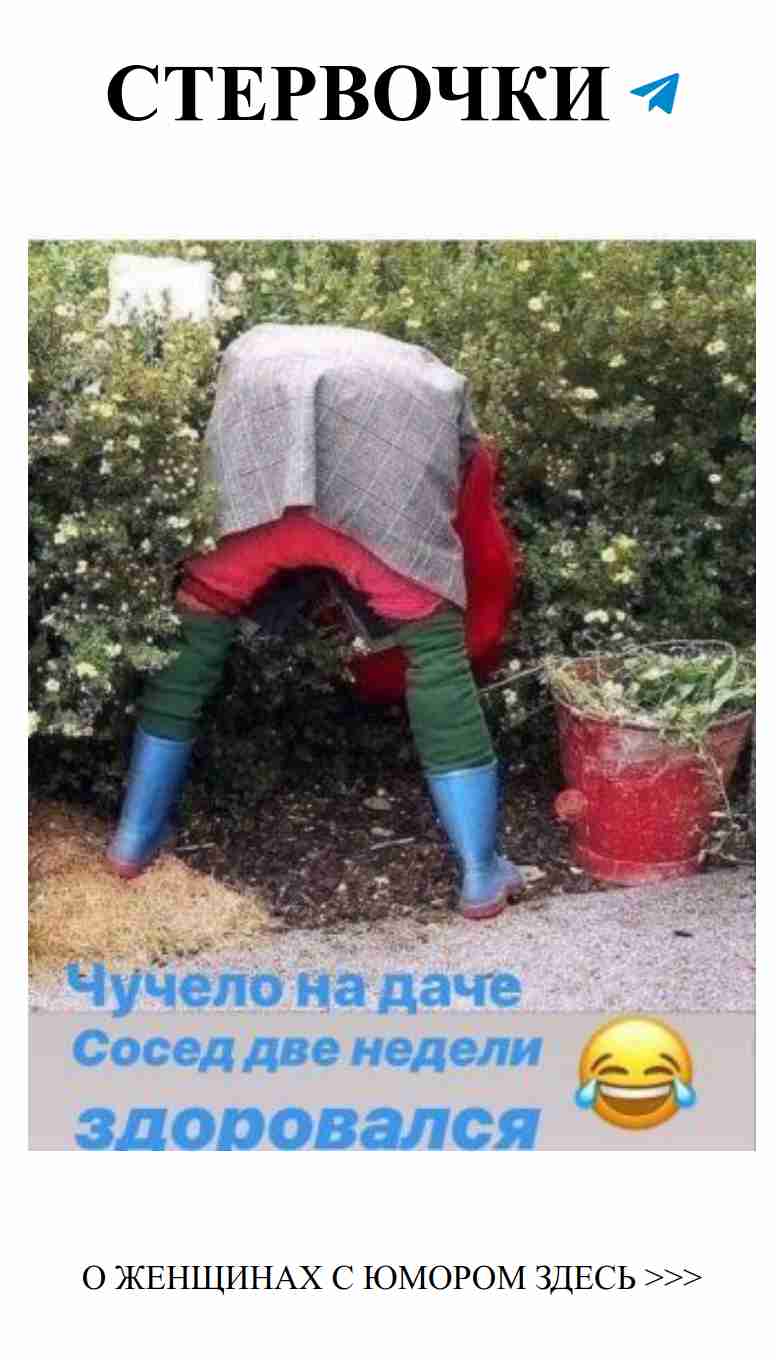 15 смешных моментов о любви от Виктора Алексеева