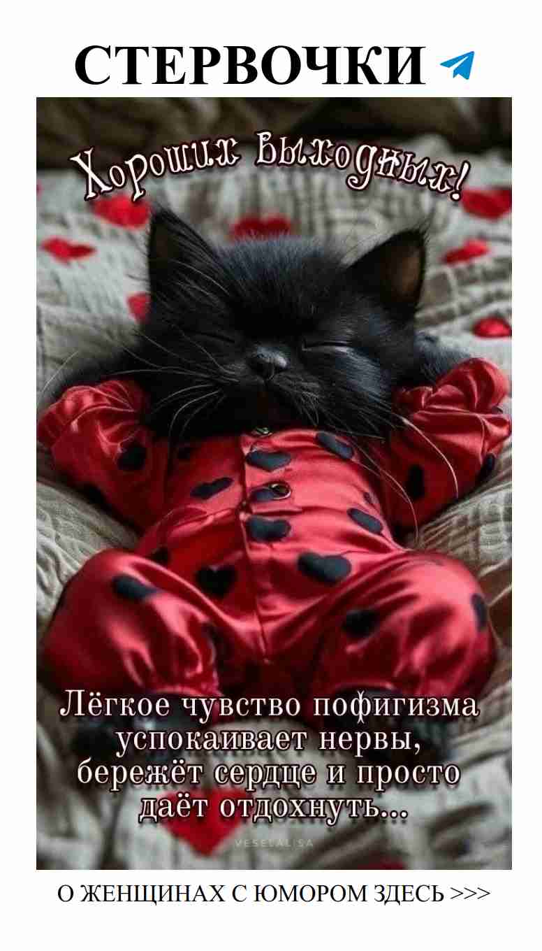 Смех, любовь и хорошее настроение на выходных