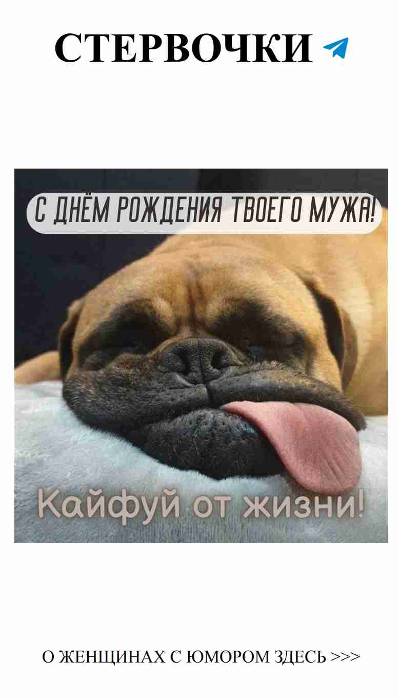 Смешные открытки для подруги на день рождения мужа