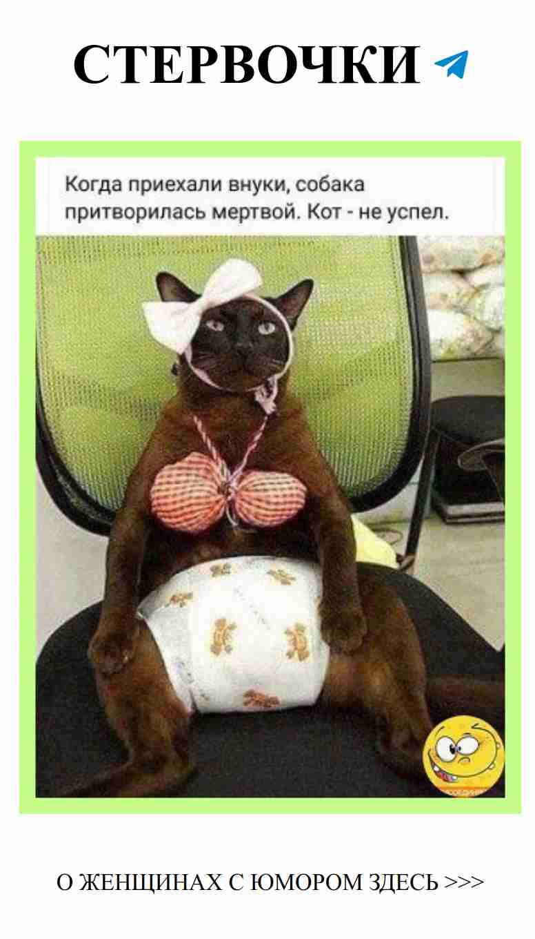 Улыбнись любви: веселые истории отцов и детей