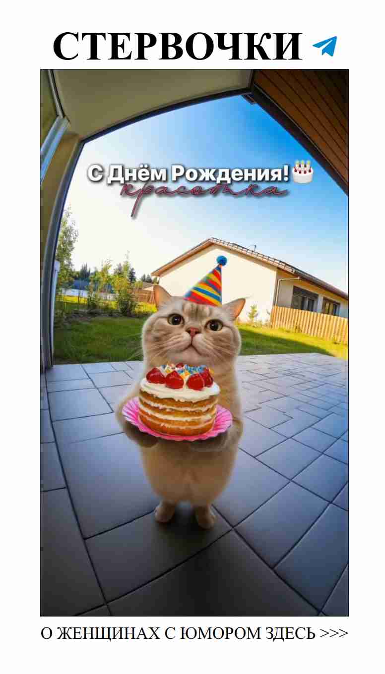 Смешные моменты любви с милыми котиками на день рождения