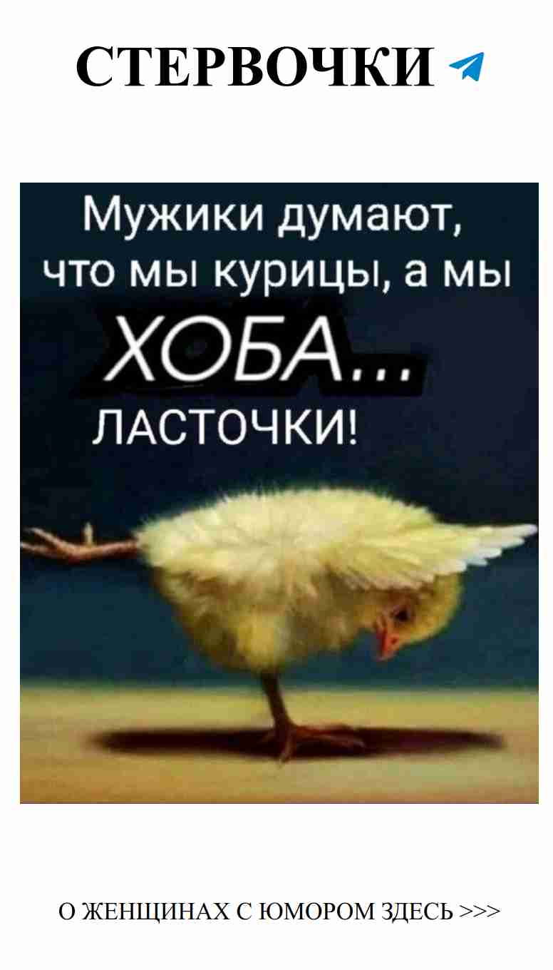 Женский юмор о любви: Стерва, Suка и Ведьма в жизни