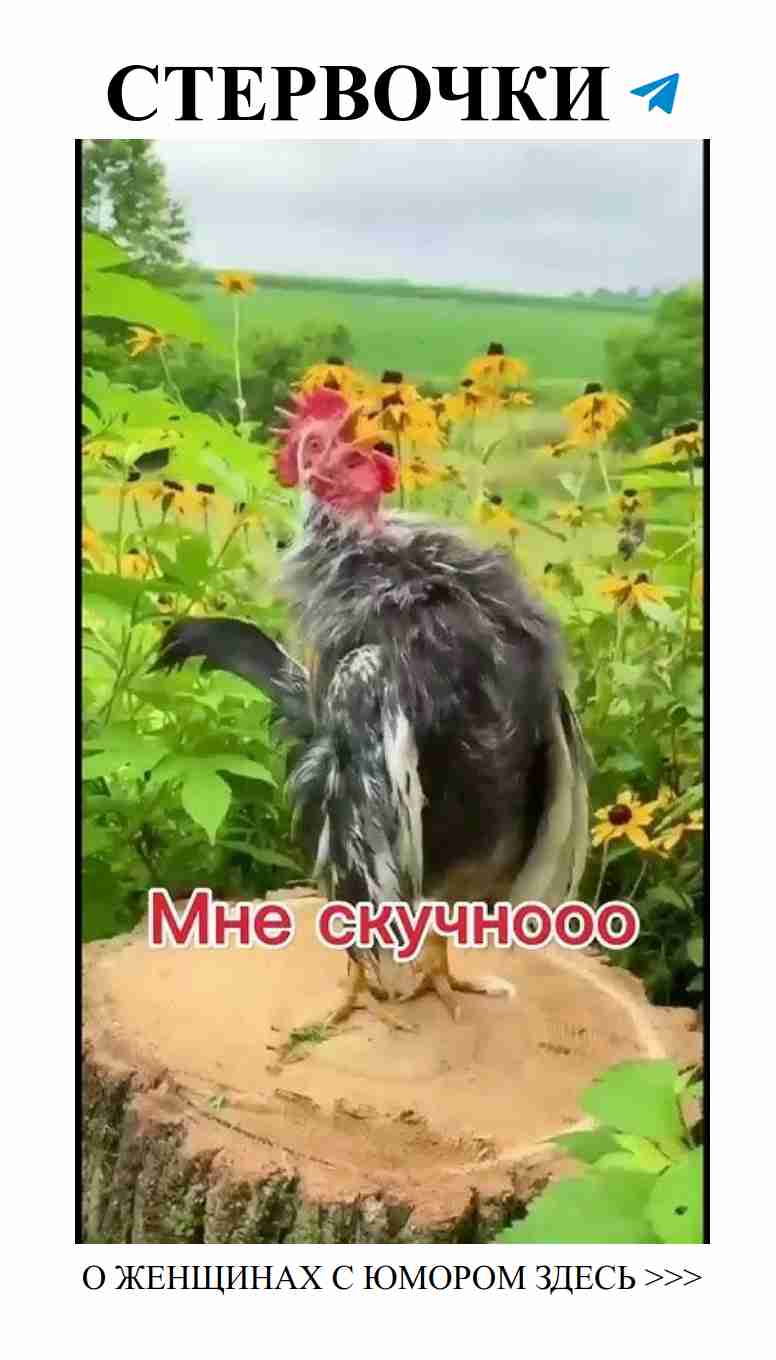 Утро с улыбкой: сделай шаг к своим мечтам без границ