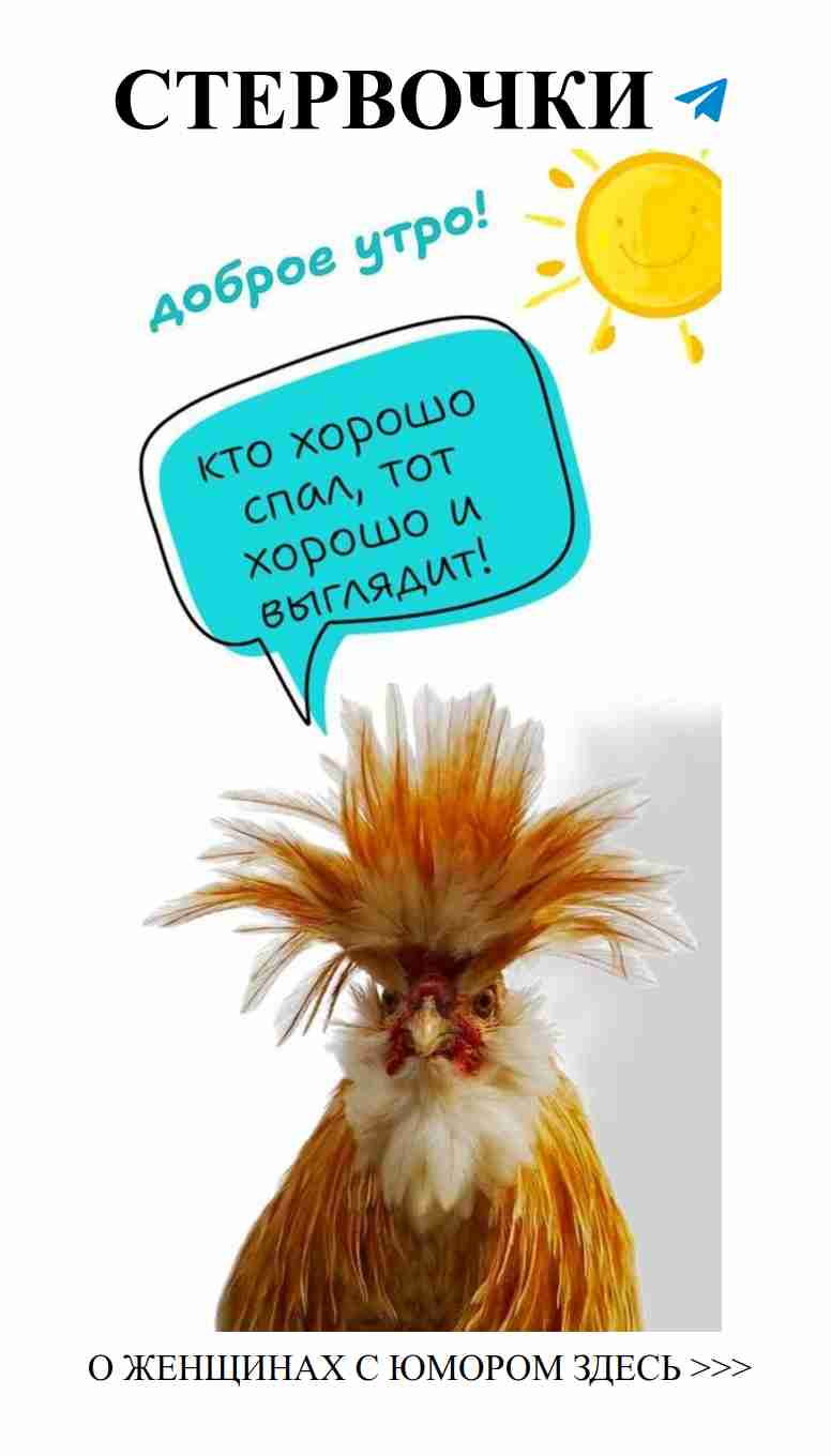 Улыбка любви: смешные открытки для любимых