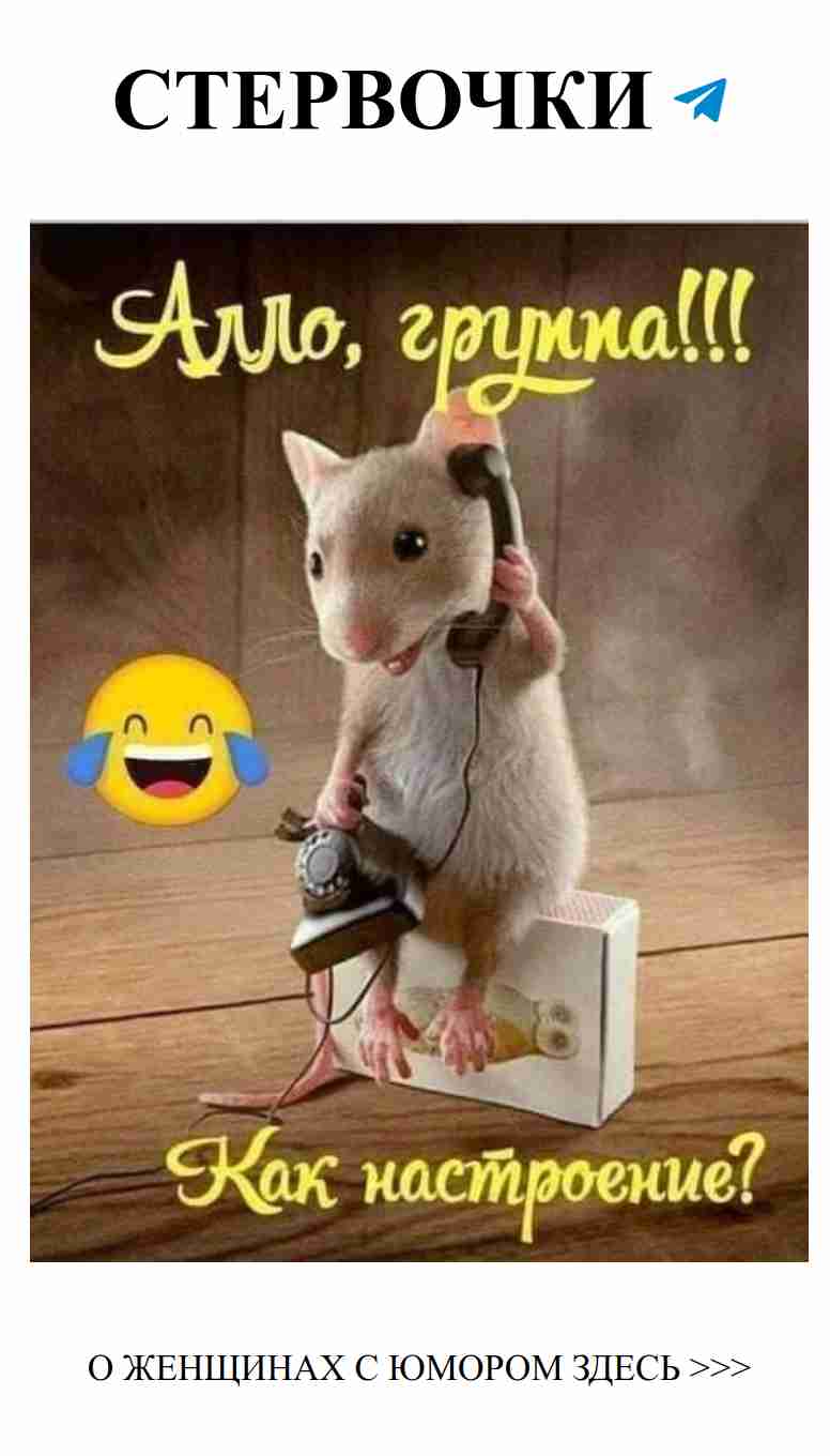 Самые смешные анекдоты о любви для женщин