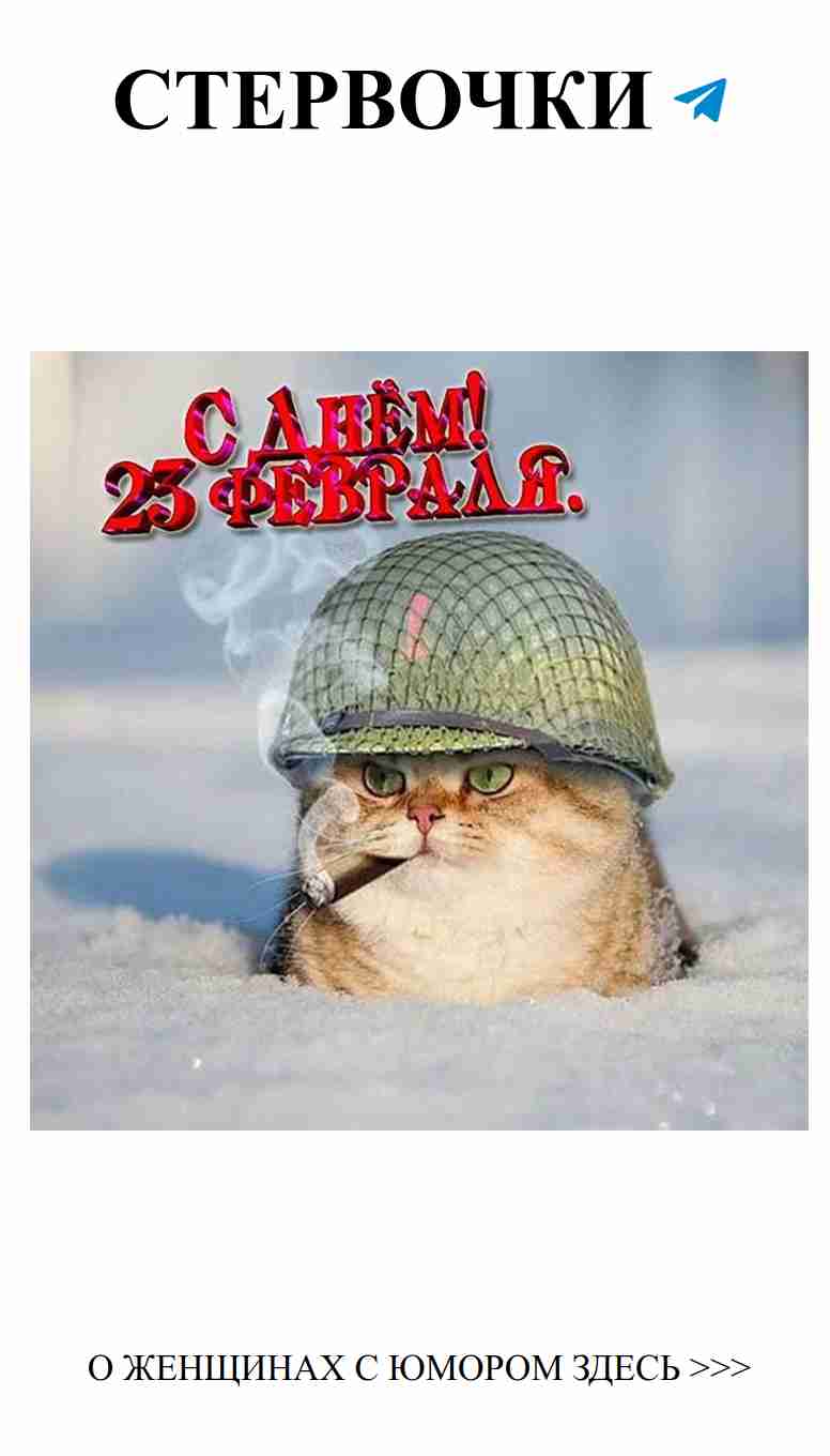 Смешные открытки к 23 февраля с любовью и юмором