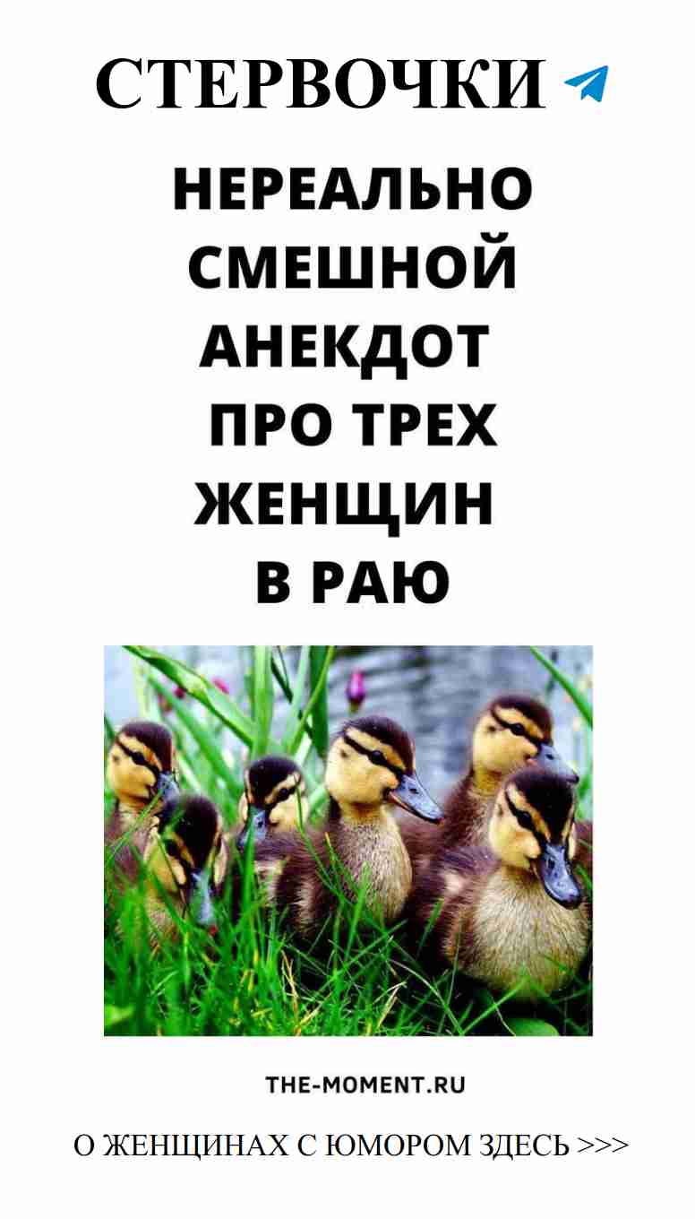 Любовный сарказм: женский юмор для поднятия настроения