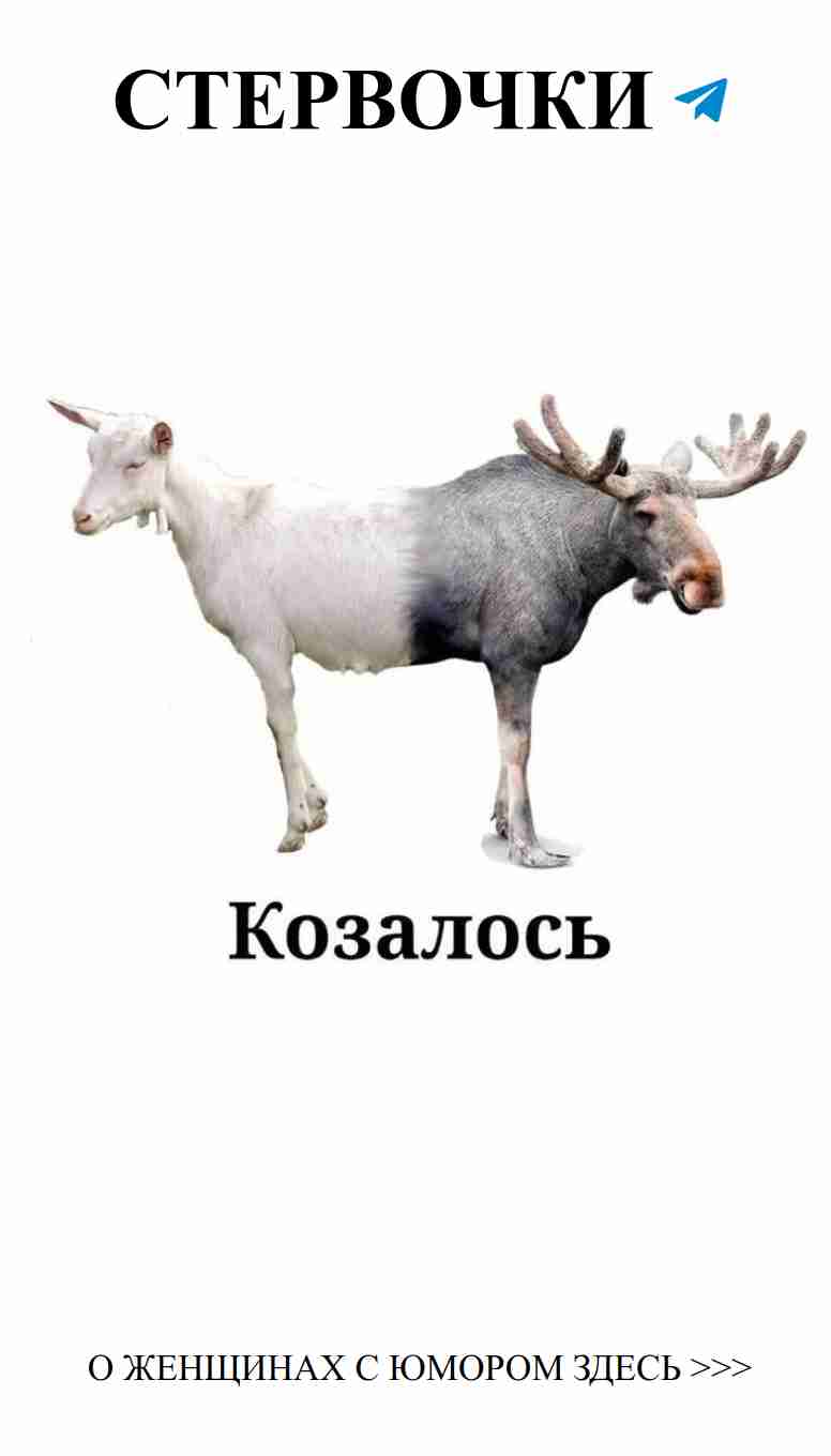 Мемы о любви, которые поднимут настроение только вам