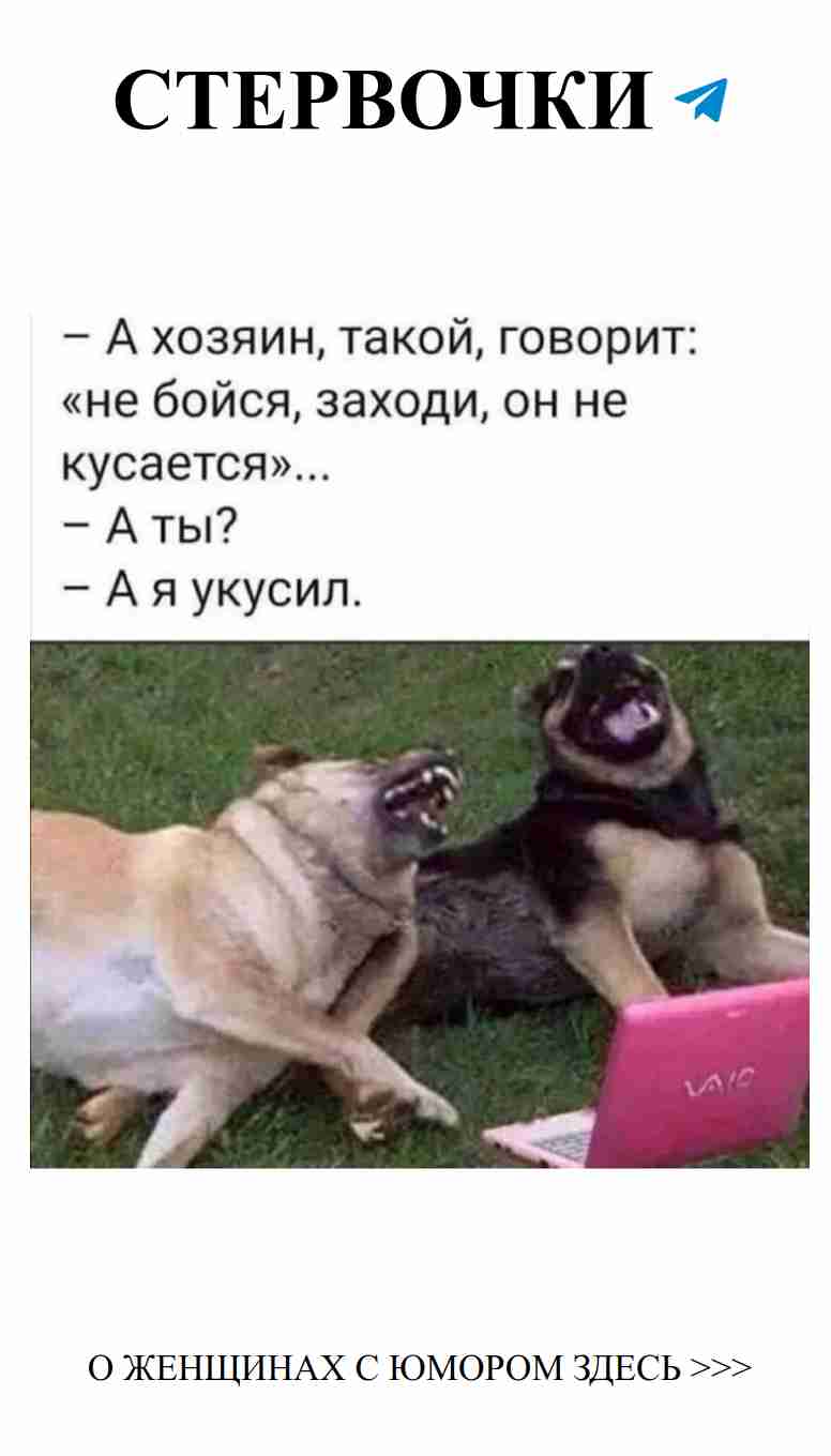 Юмор о любви: смешные картинки для твоего настроения
