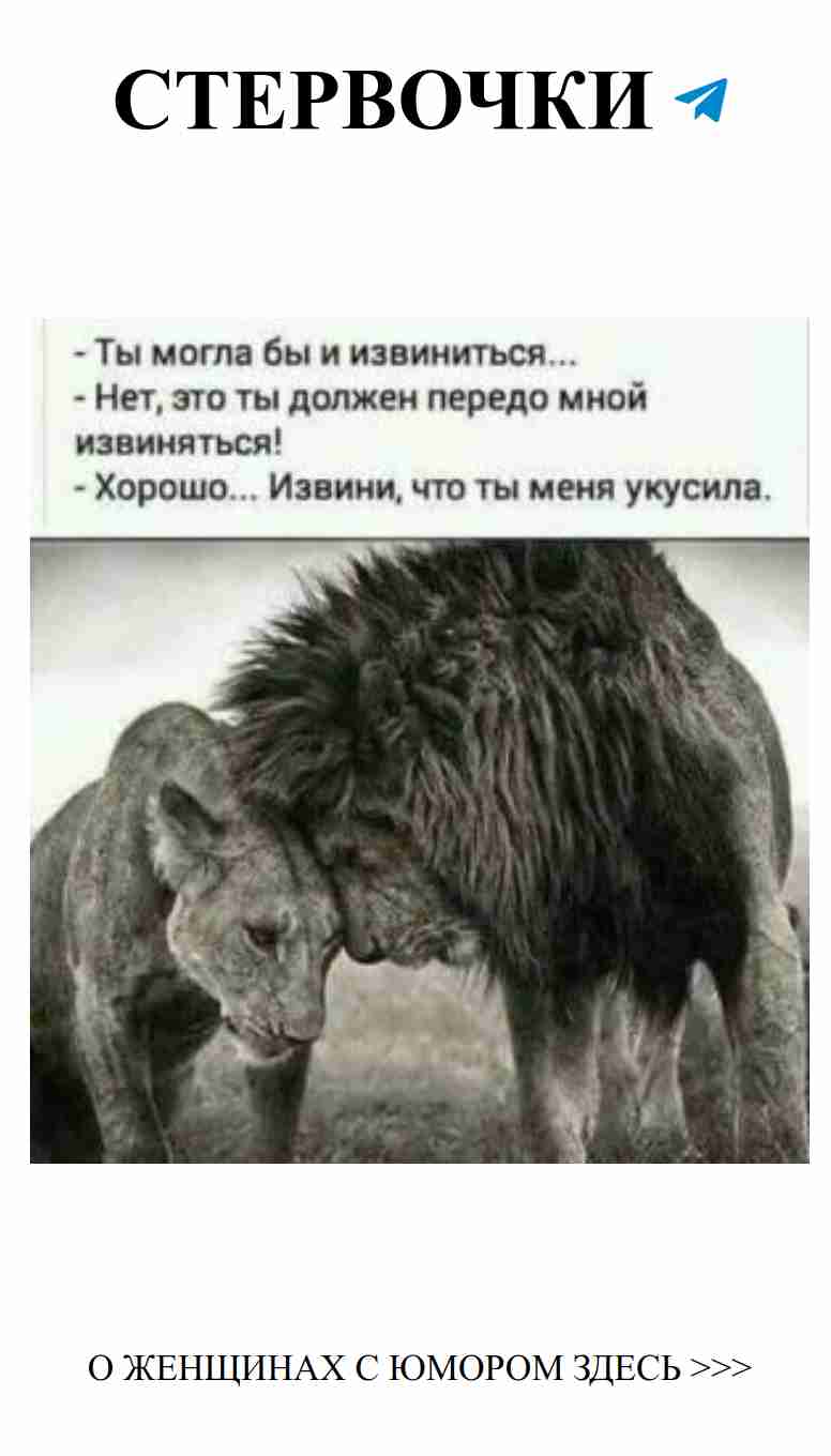 Любовь и смех: женский взгляд на анекдоты