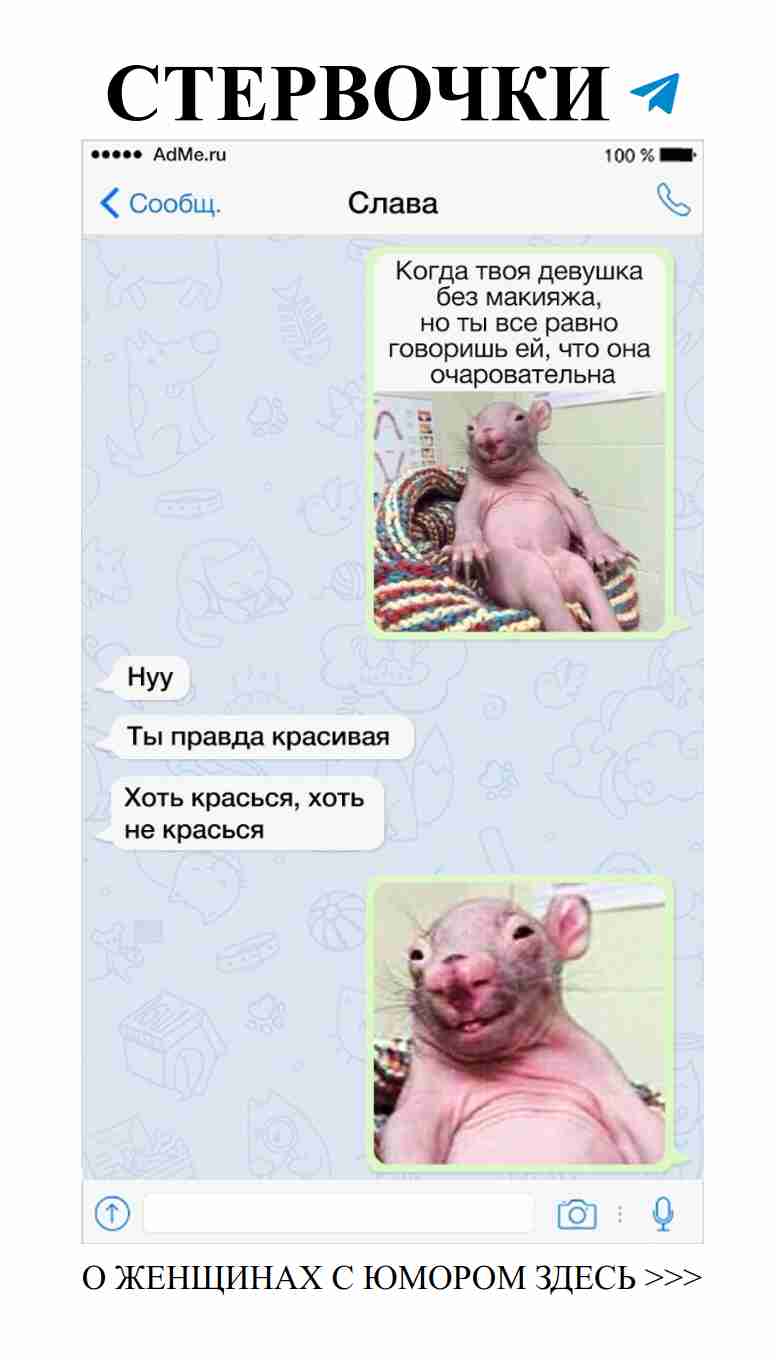 Женский юмор: 15 СМС, которые диктуют правила любви