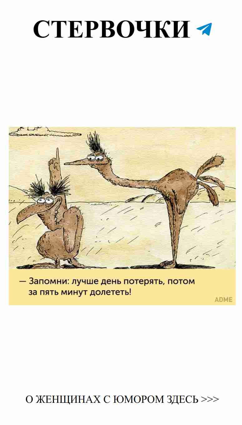 Любовь и юмор: 18 фраз из любимых мультфильмов