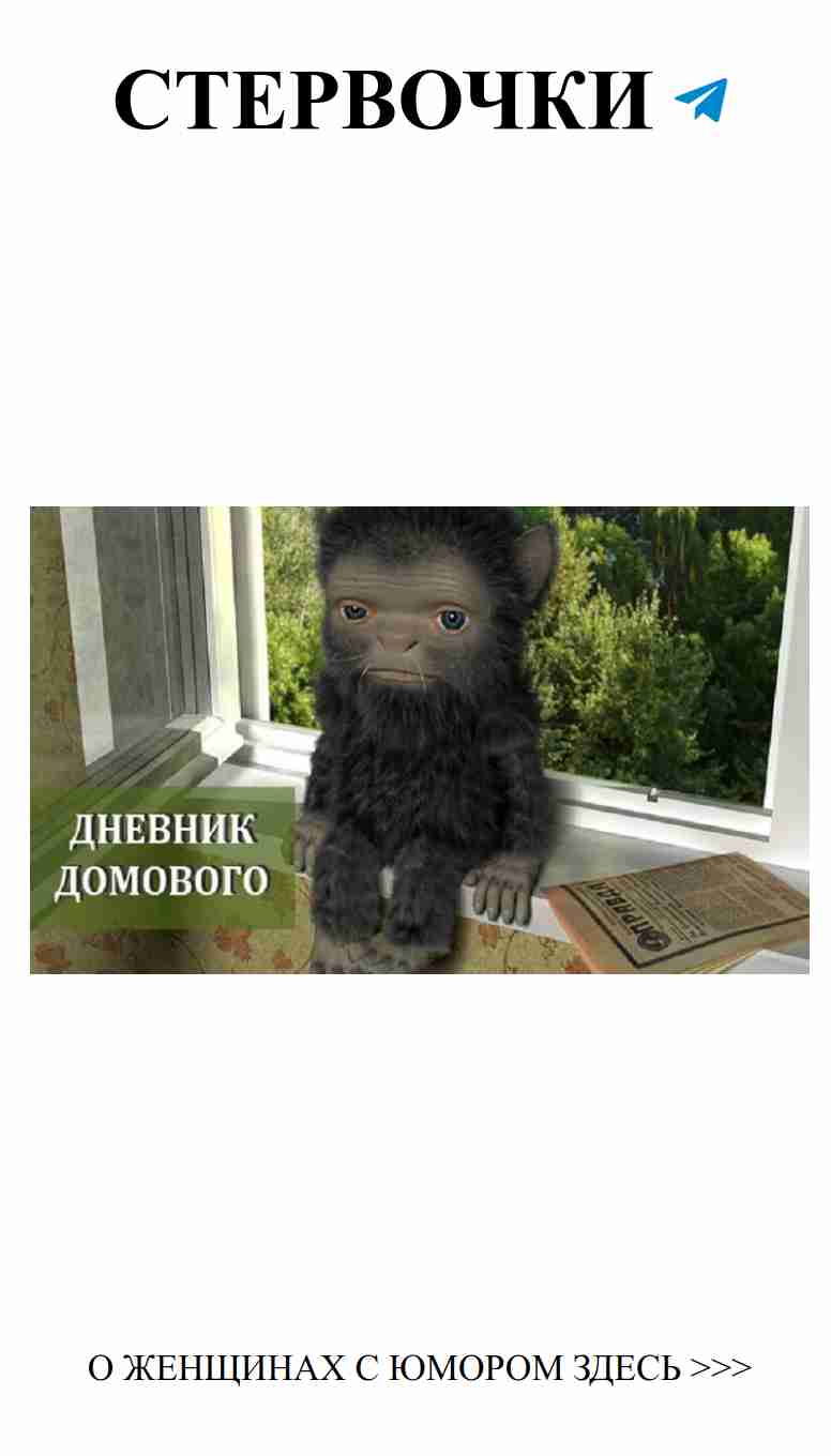 Смешные истории о любви от Дневника домового
