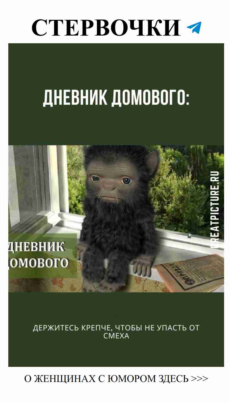 Смех и любовь: дневник домового для каждой женщины