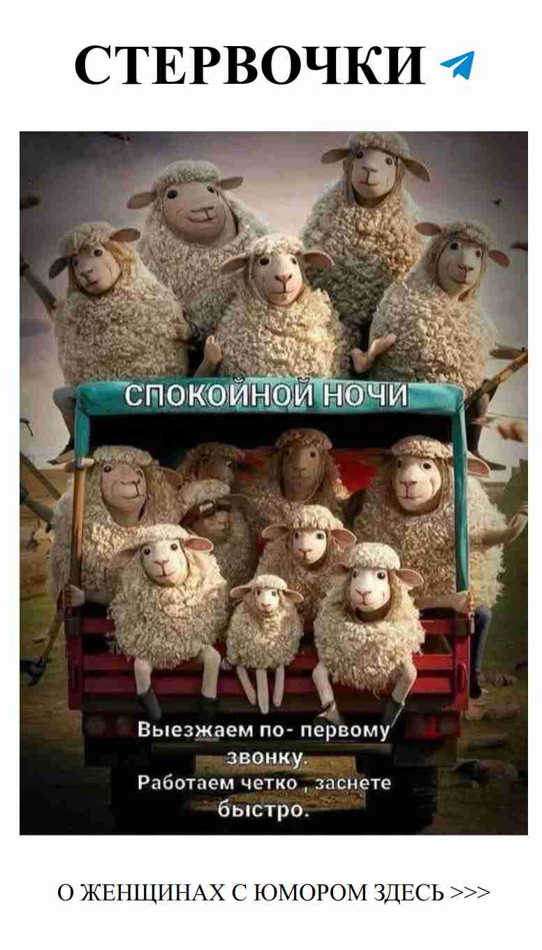Любовь и смех: почему мы смеемся вместе в уютном доме