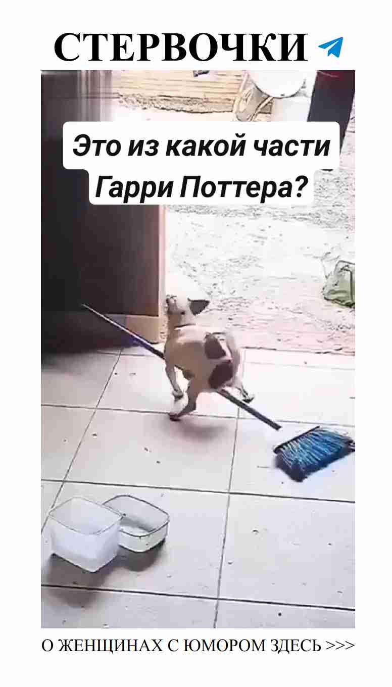 Любовные перипетии: юмор о женщинах из Гарри Поттера