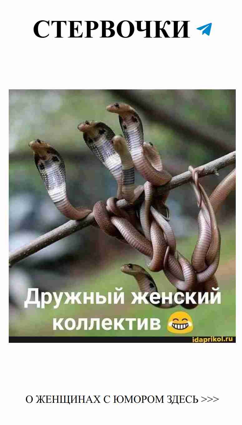 Смех и любовь: женские анекдоты от АйДаПрикол