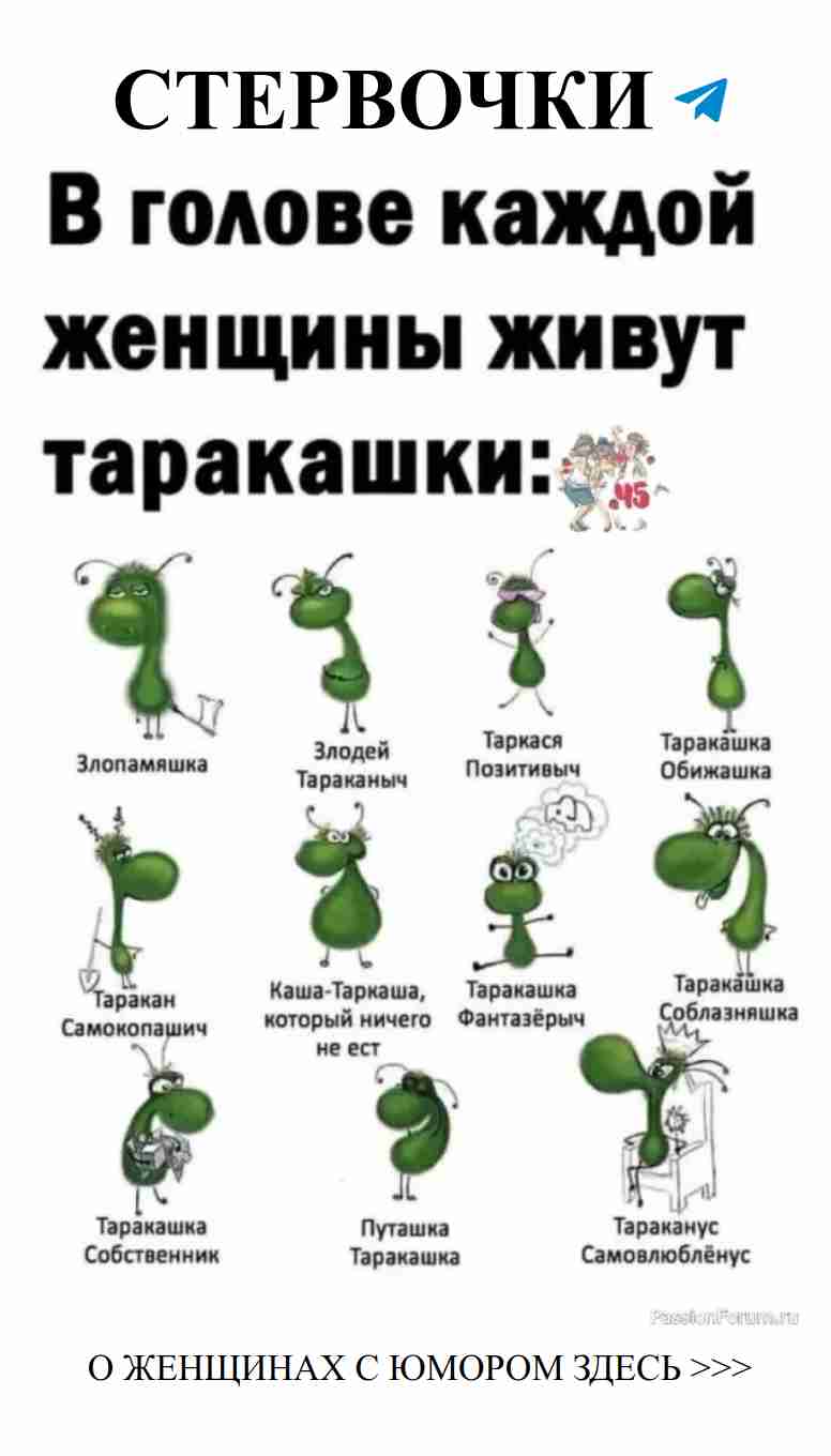 Обожаю его, но иногда он напоминает таракашку