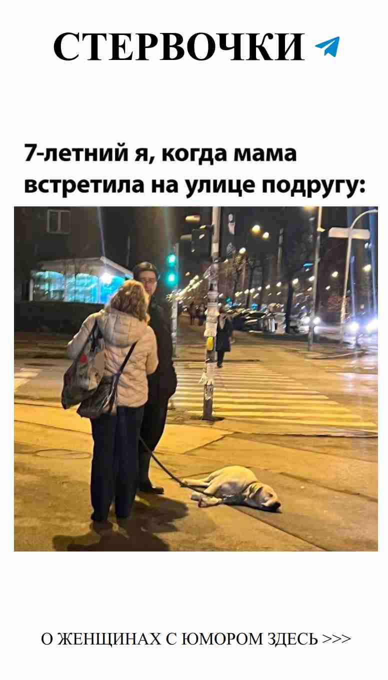 Смешные цитаты о любви и отношениях для женщин