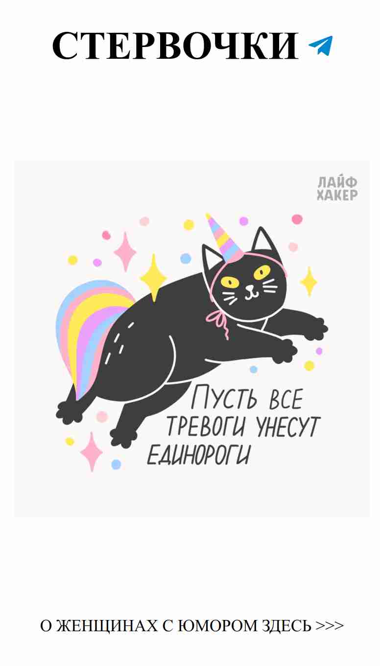 Когда любовь приходит, даже коты становятся волшебными