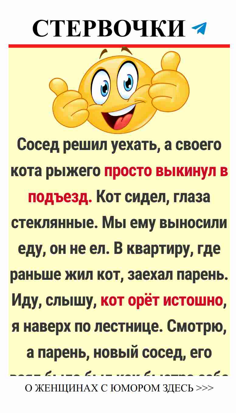 Любовь и смех: истории, которые согревают сердце