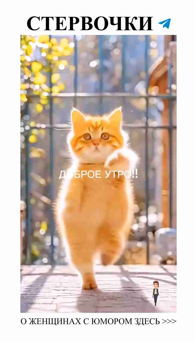 С любовью и юмором: утро начинается с улыбки