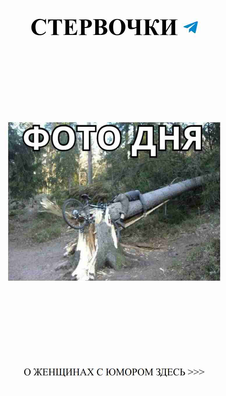 Любовь и смех: веселые картинки для хорошего настроения