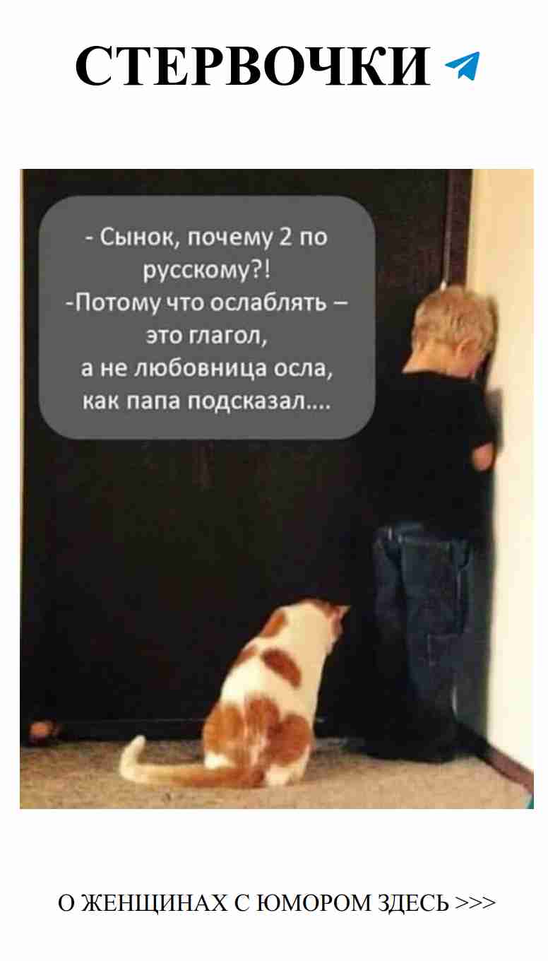 Любовь и смех: как юмор спасает в трудные времена