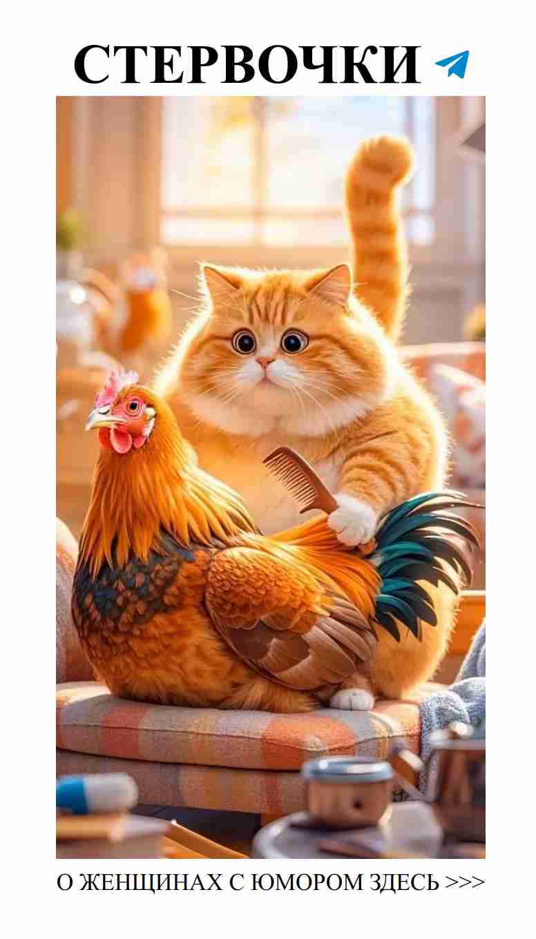Коты: настоящие мастера кулинарии в мире любви