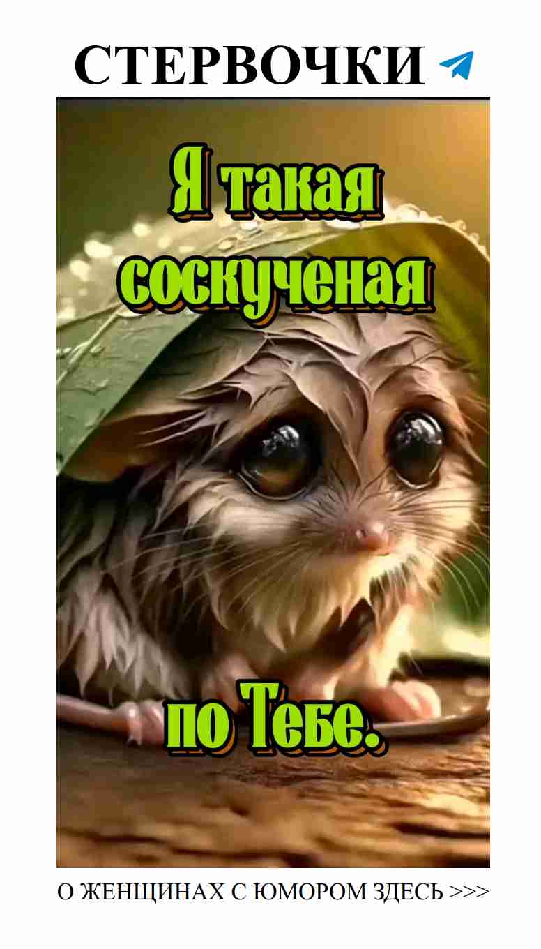 Любовь и смех: как сохранить юмор в отношениях