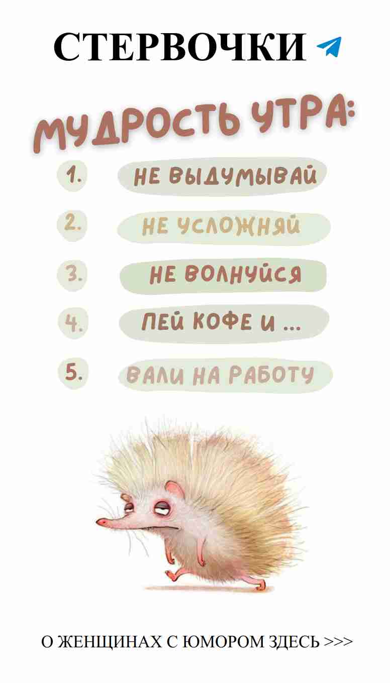 Любовь с юмором: открытки и фото, поднимающие настроение