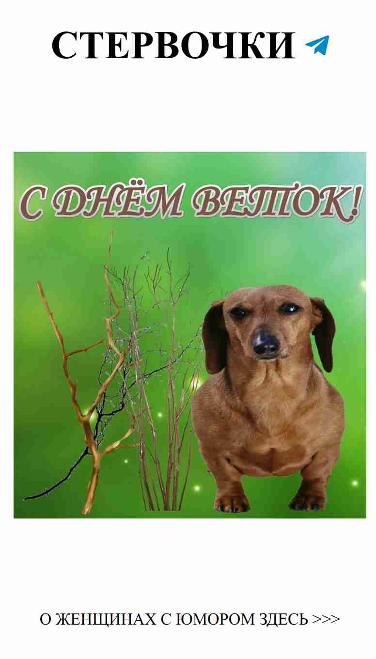 Любовь и смех: секреты женского счастья без границ