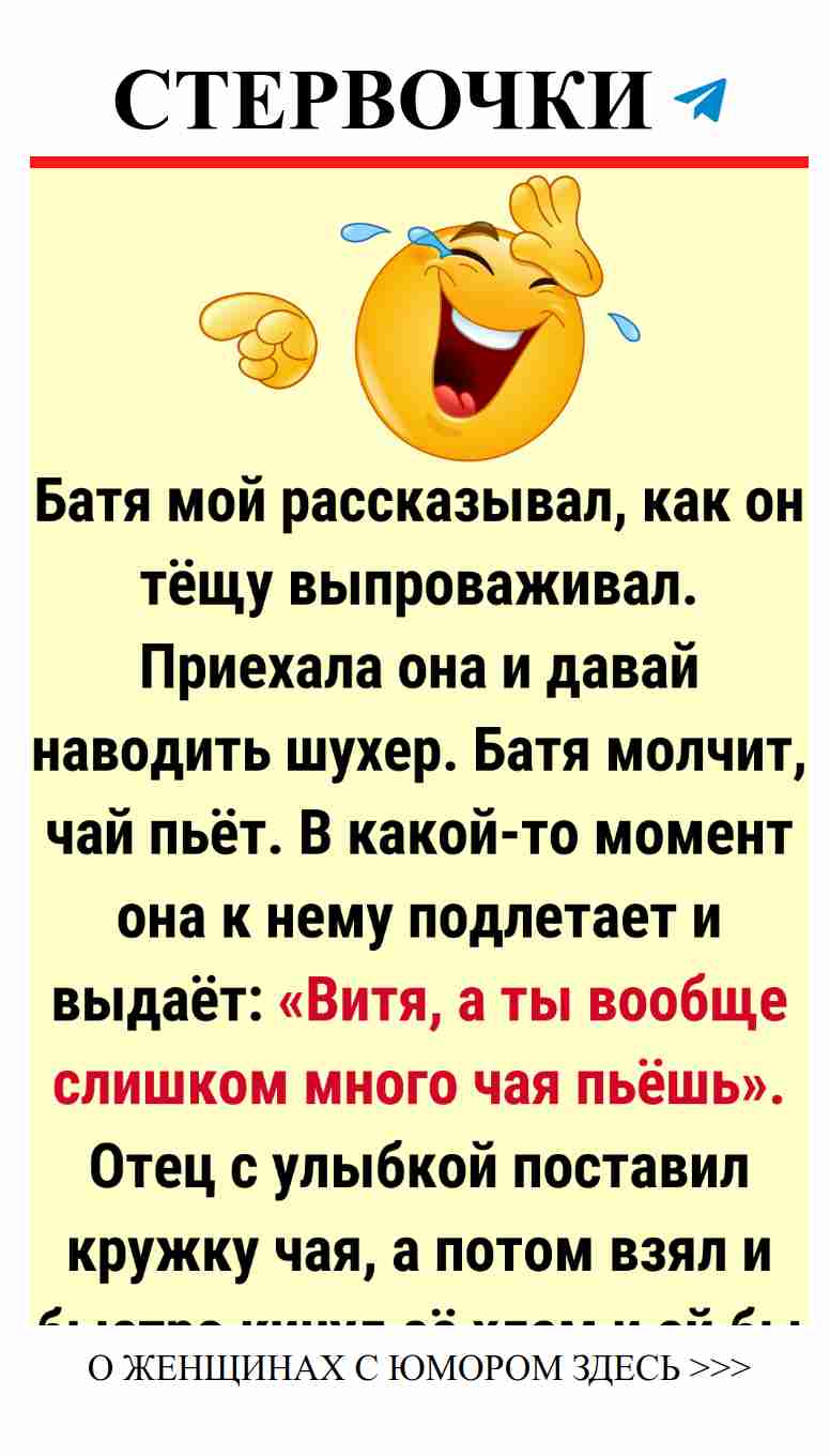 Смешные истории о тёщах и свекровях в любви и юморе