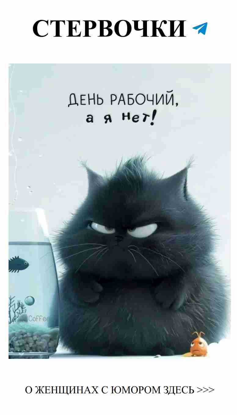 Любовь и смех: как женский юмор может изменить жизнь