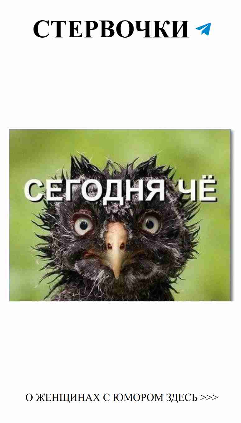 Любовный юмор: смешные картинки для хорошего настроения