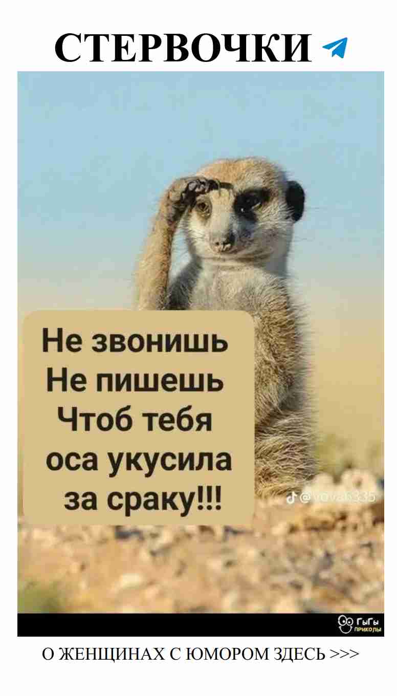 Любовь с юмором: смех во время страсти