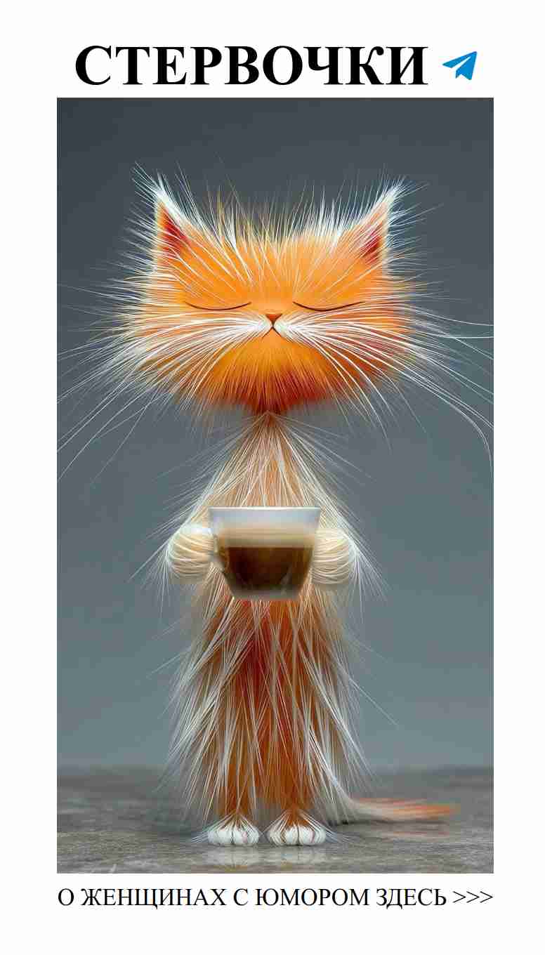 Уютные котики, кофе и теплая зима для счастья и любви
