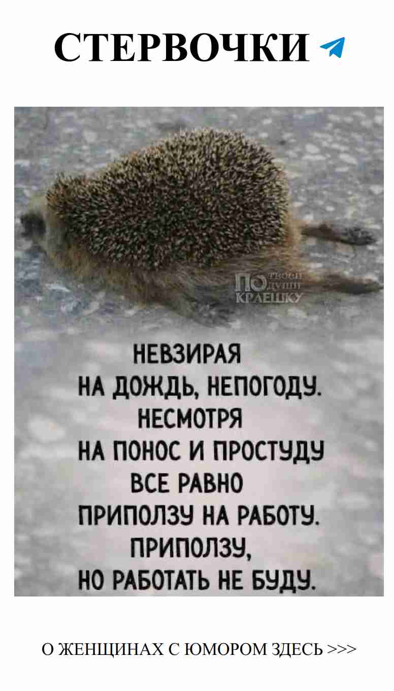 Любовь с юмором: как не потерять голову и остаться собой