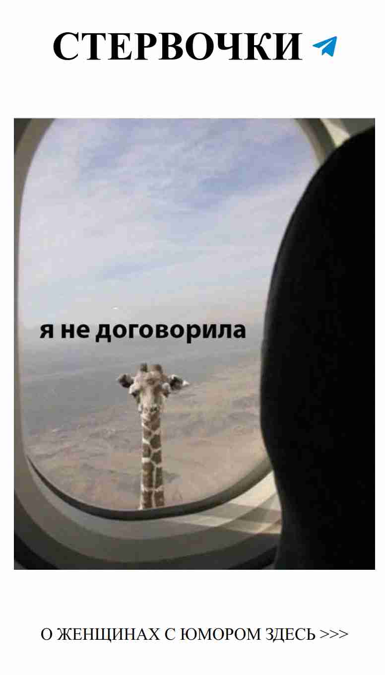 Любовь и смех: находи радость в каждом моменте