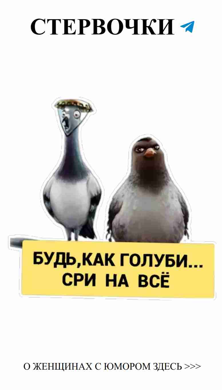 Смешные истории о любви, которые заставят вас улыбнуться
