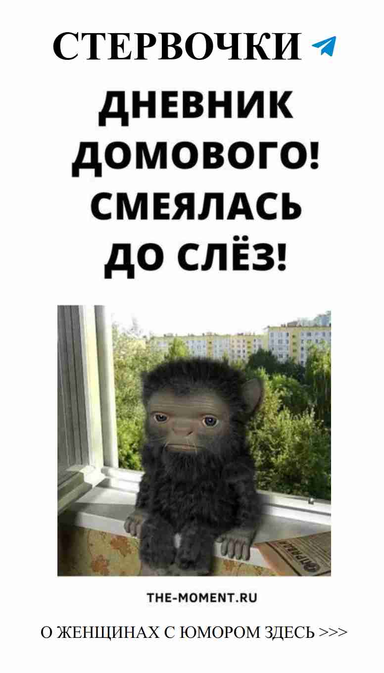 Любовь, смех и домашние хитрости: дневник домового