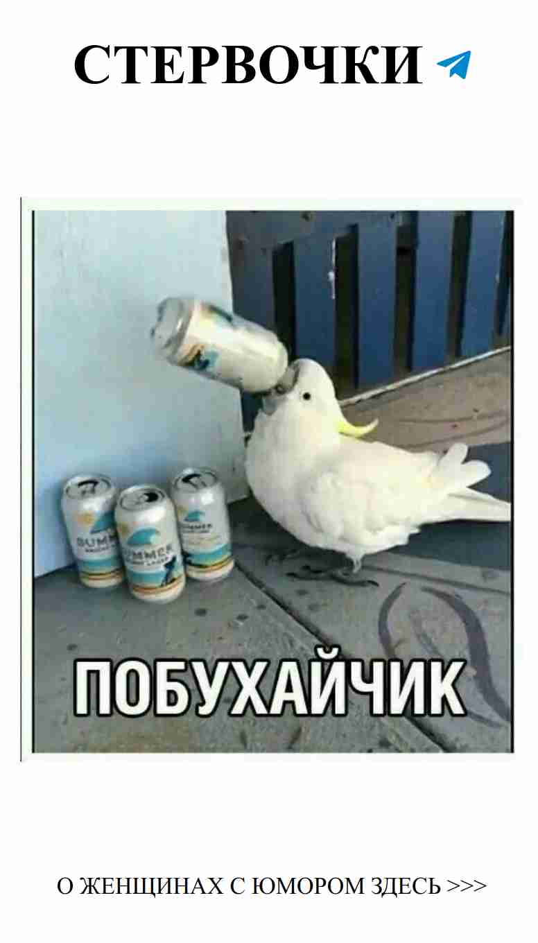 Когда батя встречает пиво: смешные моменты о любви