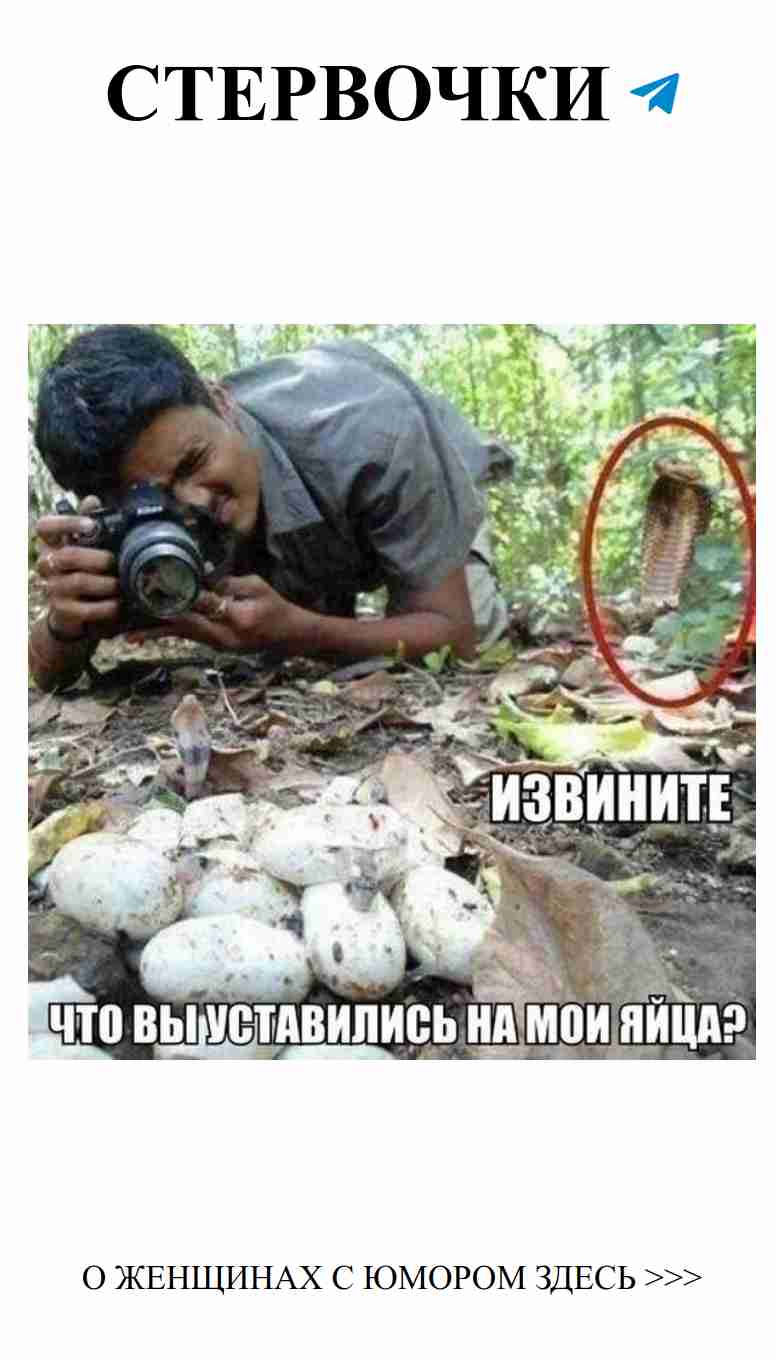 Юмор о любви: приправлено женской иронией и сюрпризами