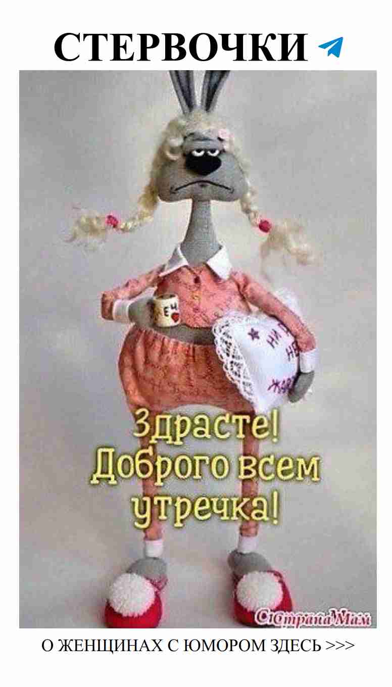Заяц для вдохновения: смех и любовь в каждой детали