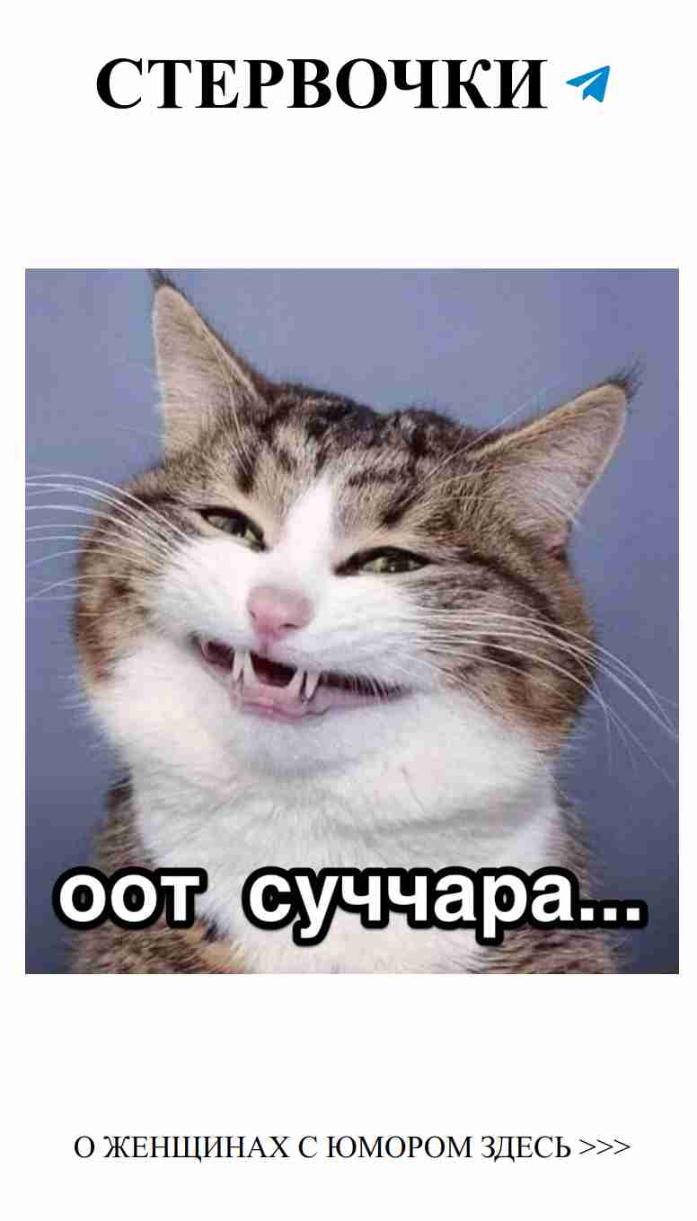 Когда мемы о любви заставляют смеяться до слез
